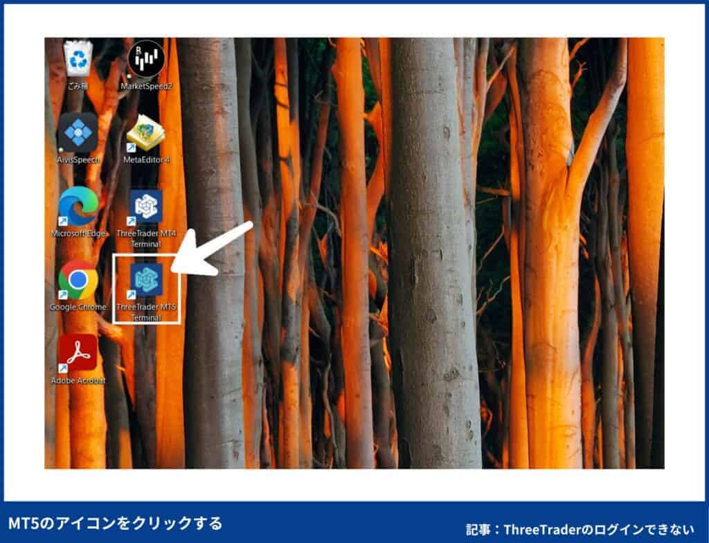 ThreeTraderのMT5へのログイン手順【PC版】