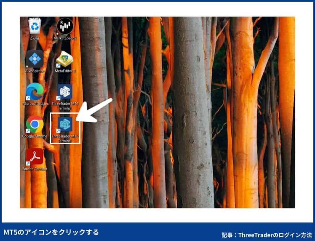 ThreeTraderのMT5へのログイン手順【PC版】