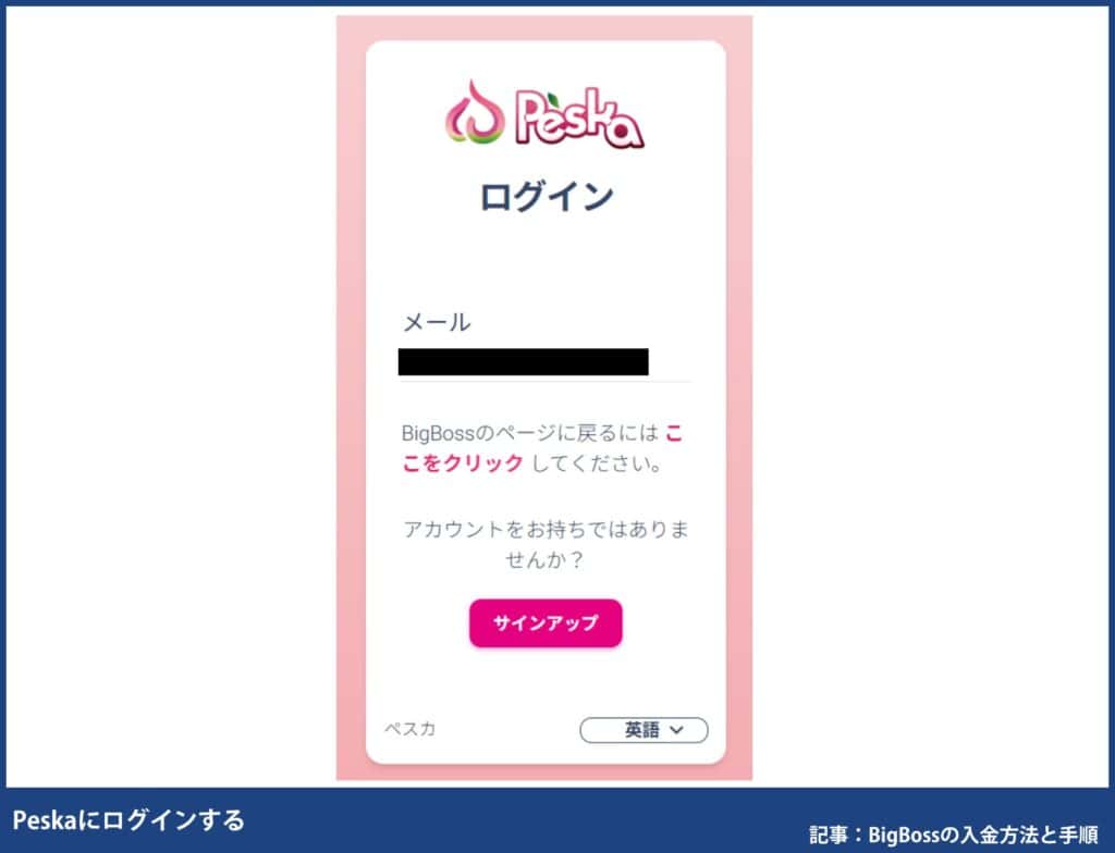 BigBossの入金方法別の手順