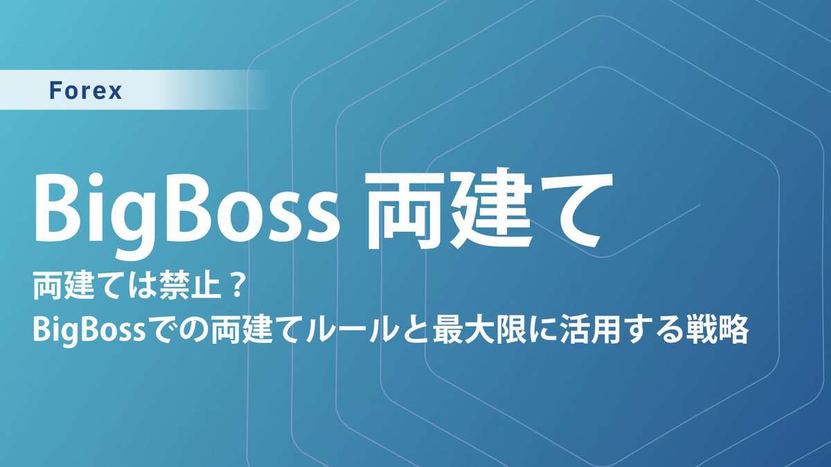 BigBoss 両建てのすべて｜許可範囲・禁止行為・リスク回避まで徹底解説